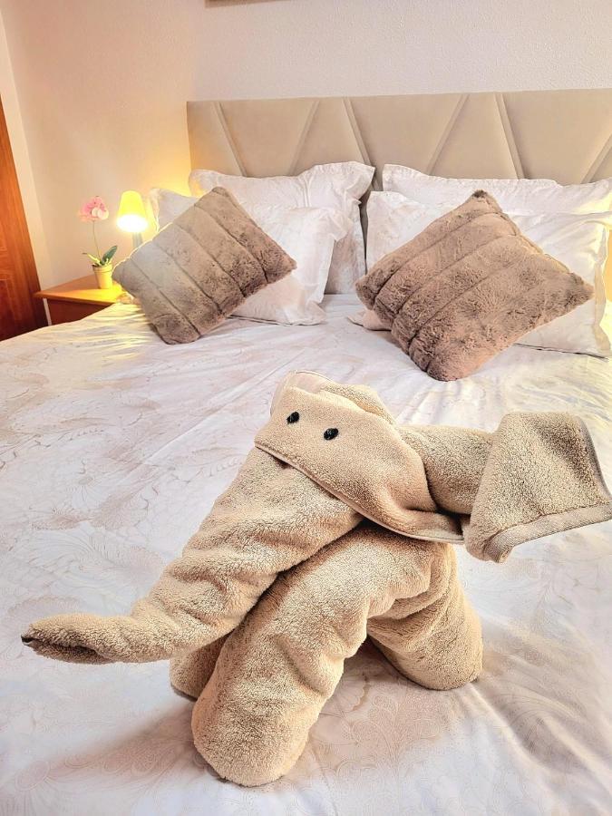 Sea Breeze Apartament Benicarló Eksteriør billede